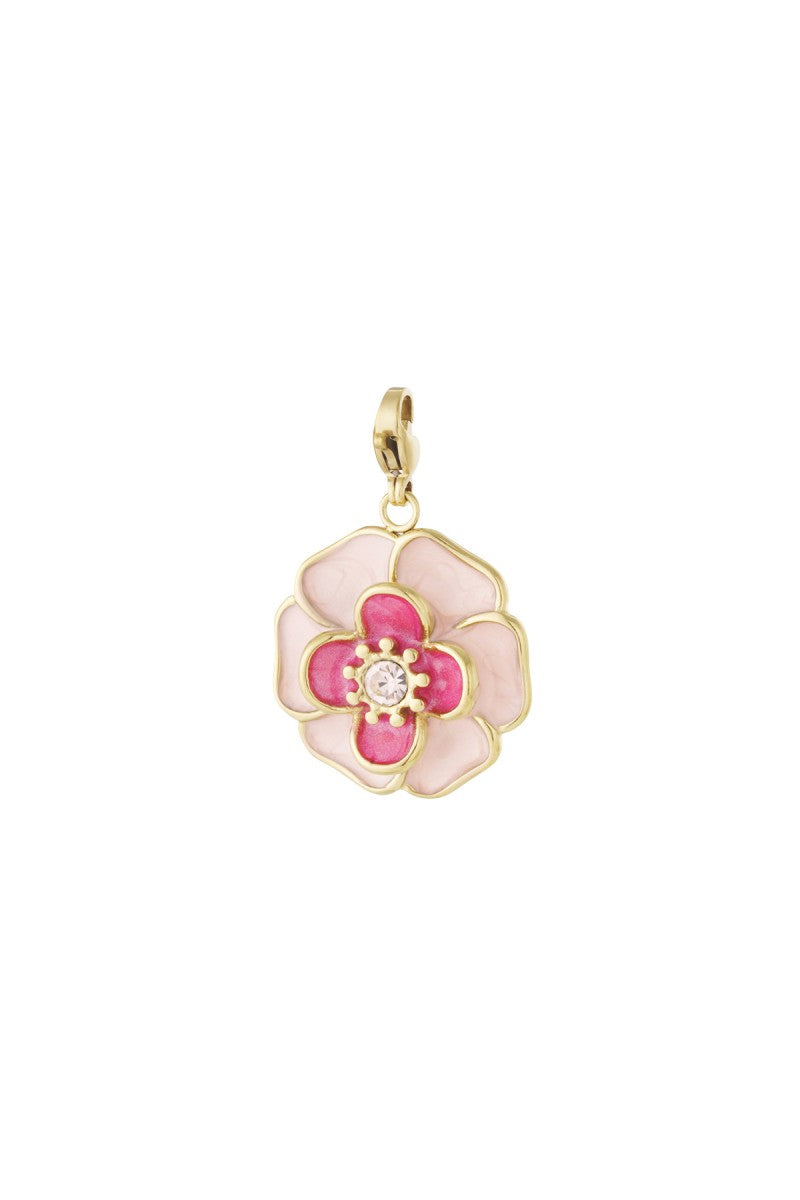 Bedel Flower Poppy