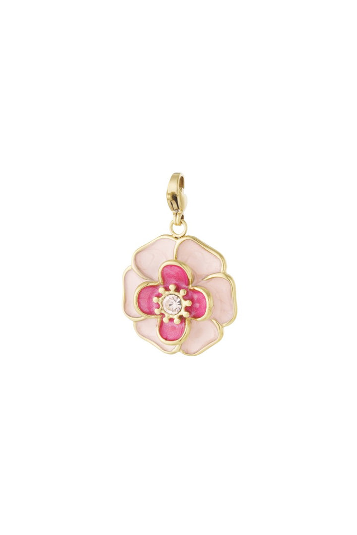 Bedel Flower Poppy