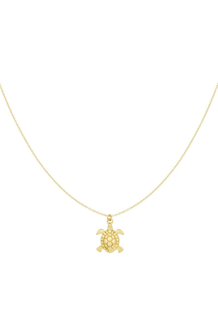 Ketting Turtle
