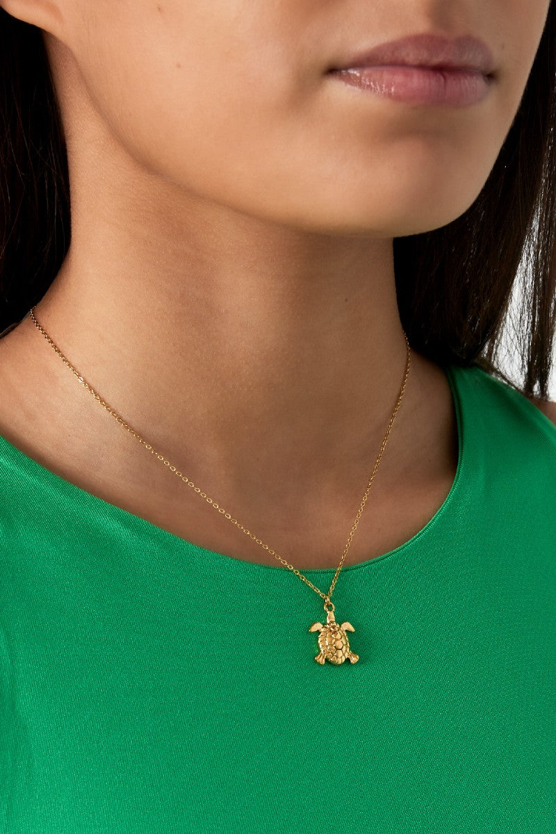Ketting Turtle