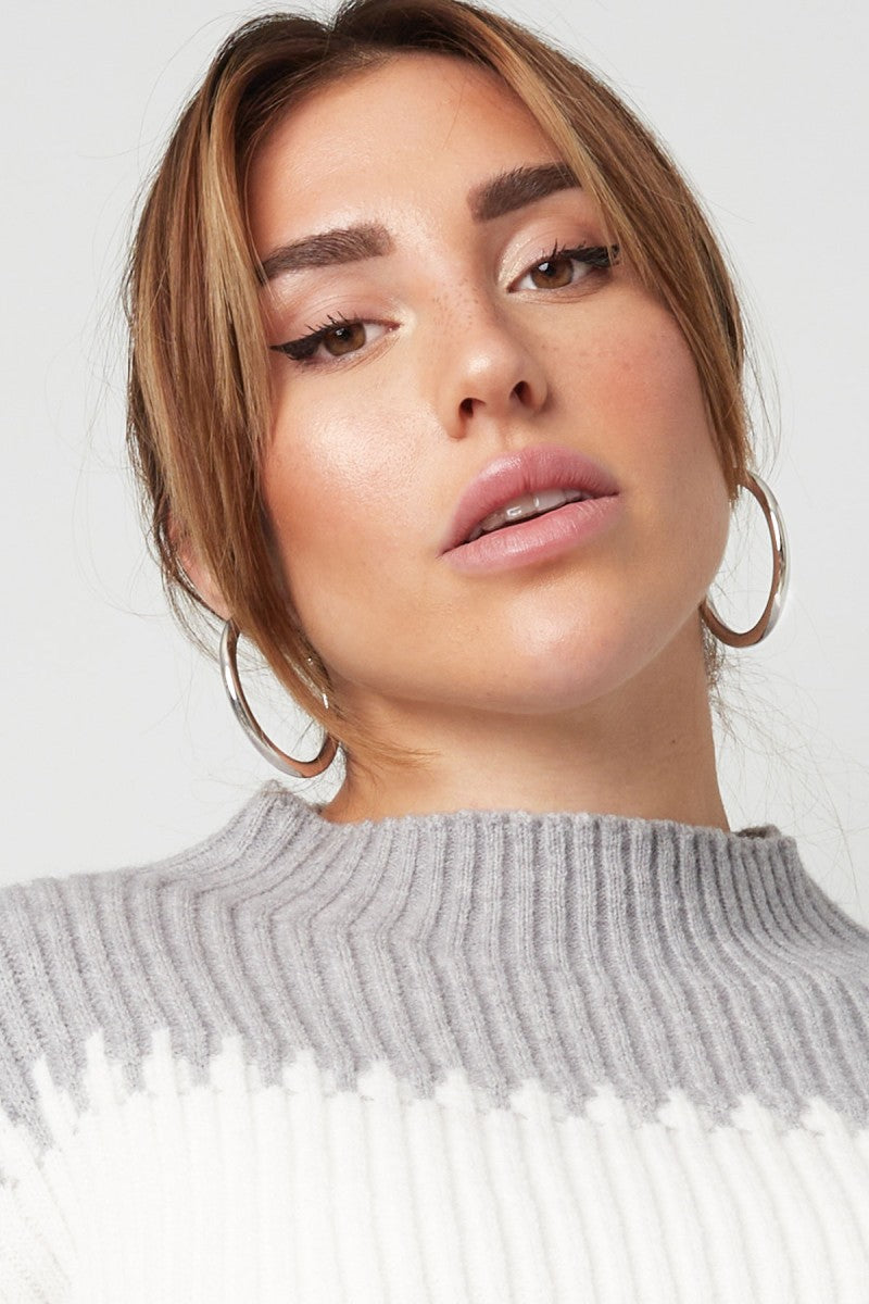 Oorbellen Round Hoops 5cm Zilver