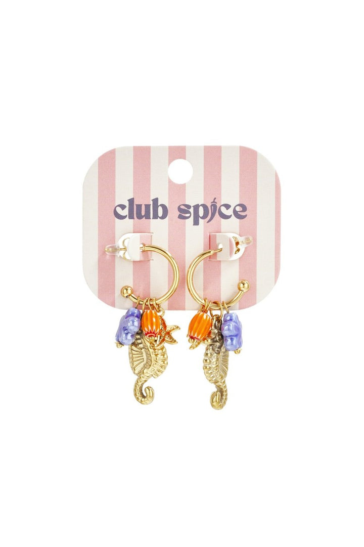 Oorbellen Seahorse Summer