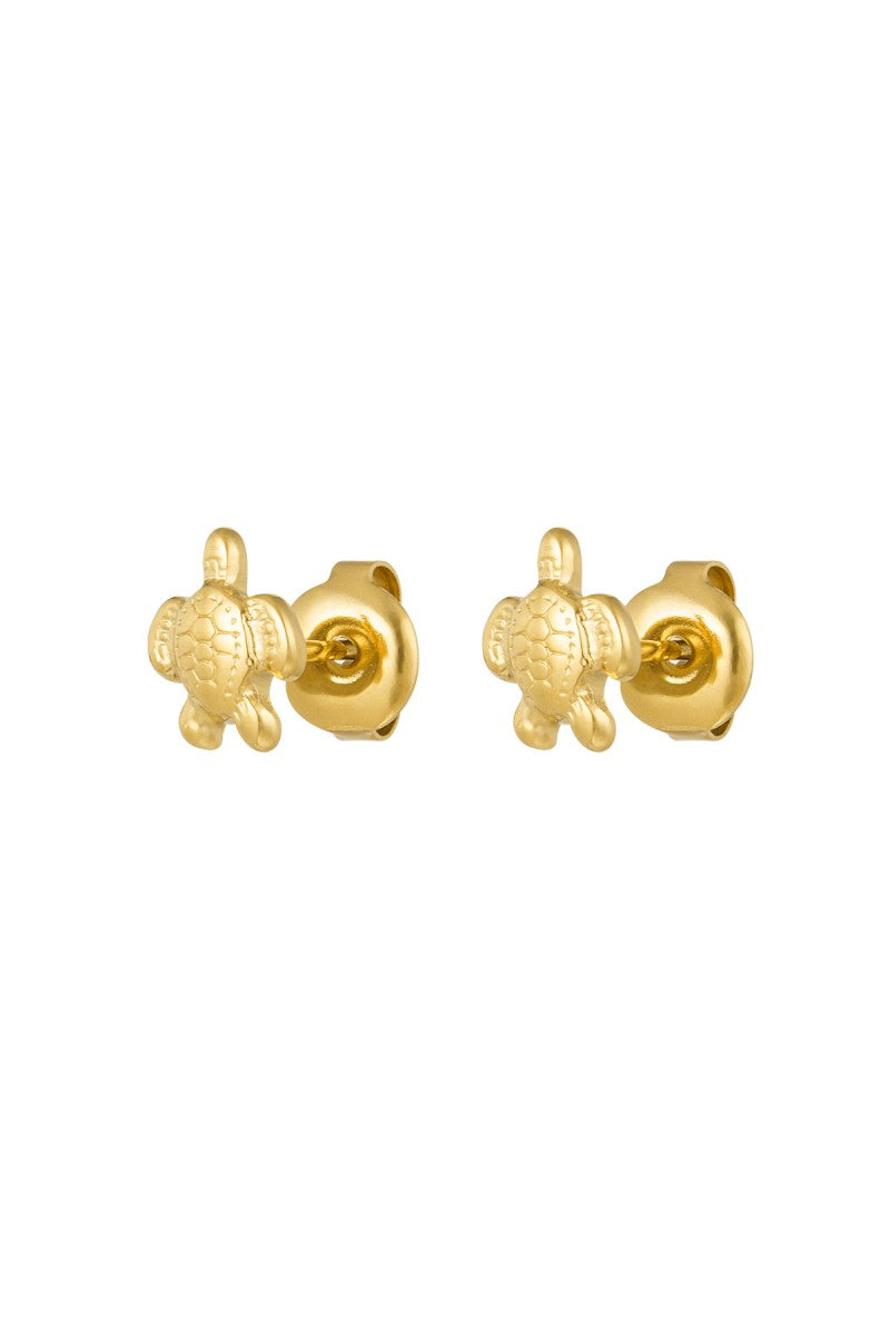 Oorstekers Schildpad Goud